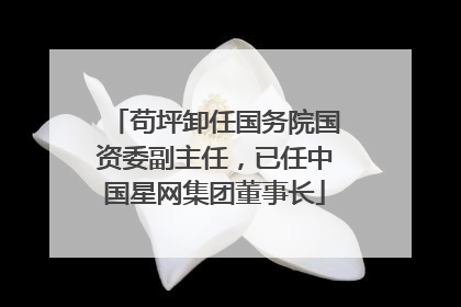 苟坪卸任国务院国资委副主任，已任中国星网集团董事长