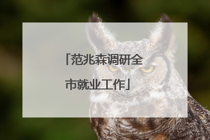 范兆森调研全市就业工作