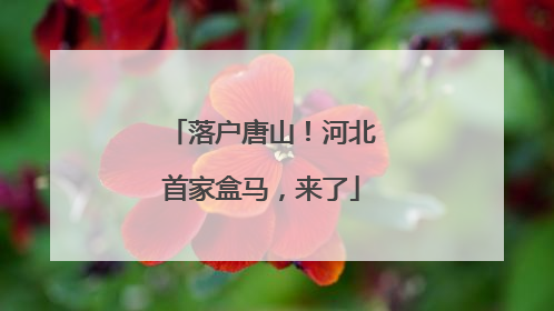 落户唐山！河北首家盒马，来了