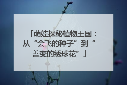 萌娃探秘植物王国：从“会飞的种子”到“善变的绣球花”