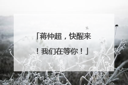 蒋仲超，快醒来！我们在等你！