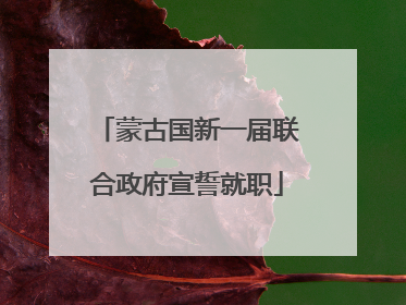蒙古国新一届联合政府宣誓就职