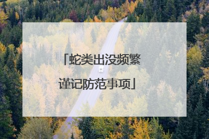 蛇类出没频繁 谨记防范事项