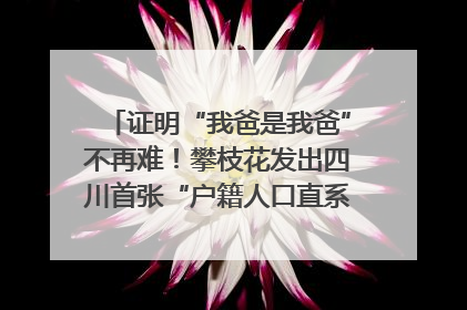 证明“我爸是我爸”不再难！攀枝花发出四川首张“户籍人口直系亲属关系谱”