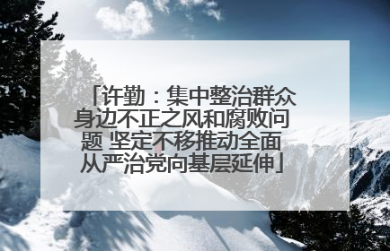 许勤：集中整治群众身边不正之风和腐败问题 坚定不移推动全面从严治党向基层延伸