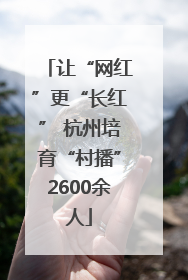 让“网红”更“长红” 杭州培育“村播”2600余人