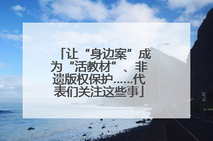 让“身边案”成为“活教材”、非遗版权保护……代表们关注这些事