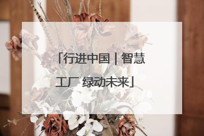 行进中国｜智慧工厂 绿动未来