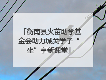衡南县火苗助学基金会助力城关学子“坐”享新课堂