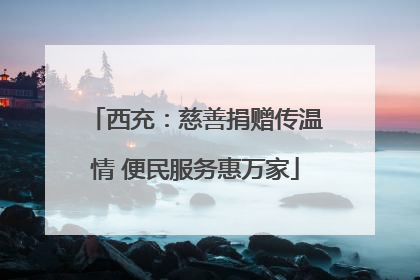 西充：慈善捐赠传温情 便民服务惠万家