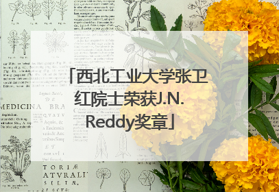 西北工业大学张卫红院士荣获J.N.Reddy奖章