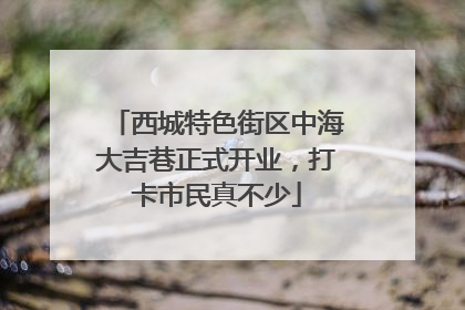 西城特色街区中海大吉巷正式开业，打卡市民真不少