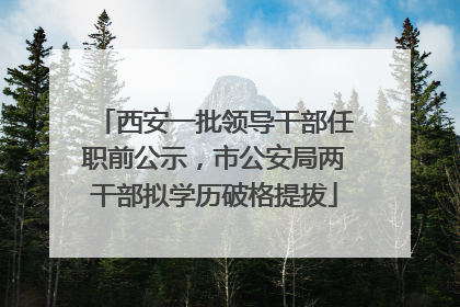 西安一批领导干部任职前公示，市公安局两干部拟学历破格提拔
