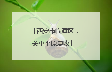 西安市临潼区：关中平原夏收
