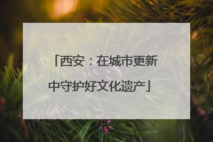 西安：在城市更新中守护好文化遗产