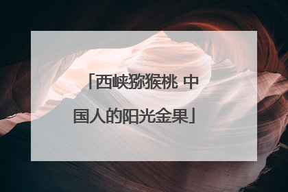 西峡猕猴桃 中国人的阳光金果