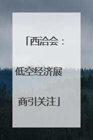 西洽会：低空经济展商引关注