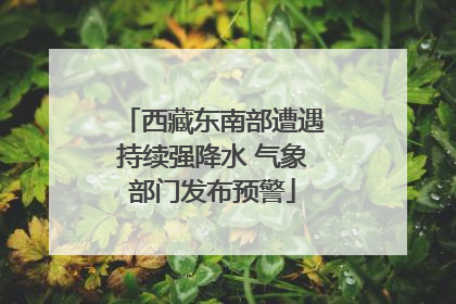 西藏东南部遭遇持续强降水 气象部门发布预警