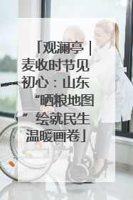 观澜亭｜麦收时节见初心：山东“晒粮地图”绘就民生温暖画卷