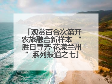 观赏百合次第开 农旅融合新样本 “胜日寻芳·花漾兰州”系列报道之七