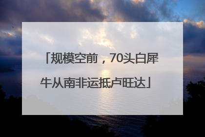 规模空前，70头白犀牛从南非运抵卢旺达