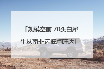 规模空前 70头白犀牛从南非运抵卢旺达