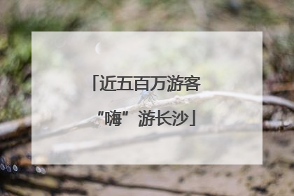 近五百万游客“嗨”游长沙