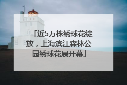 近5万株绣球花绽放，上海滨江森林公园绣球花展开幕