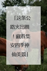 这条公路火出圈！藏着集安四季神仙美景