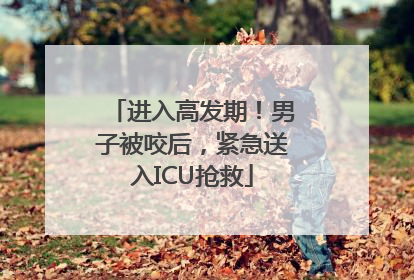 进入高发期！男子被咬后，紧急送入ICU抢救