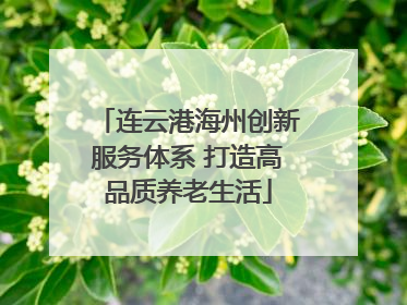 连云港海州创新服务体系 打造高品质养老生活