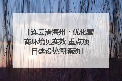 连云港海州：优化营商环境见实效 重点项目建设热潮涌动