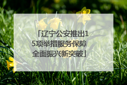 辽宁公安推出15项举措服务保障全面振兴新突破