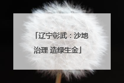 辽宁彰武：沙地治理 造绿生金