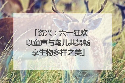资兴：六一狂欢 以童声与鸟儿共舞畅享生物多样之美