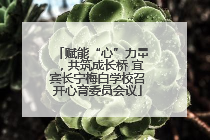 赋能“心”力量，共筑成长桥 宜宾长宁梅白学校召开心育委员会议
