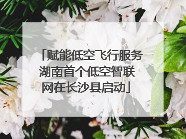 赋能低空飞行服务 湖南首个低空智联网在长沙县启动