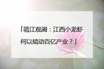 赣江观澜：江西小龙虾何以撬动百亿产业？