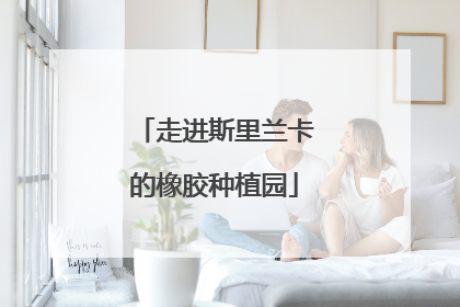 走进斯里兰卡的橡胶种植园
