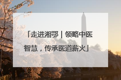 走进湘鄂｜领略中医智慧，传承医道薪火