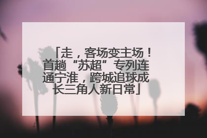 走，客场变主场！首趟“苏超”专列连通宁淮，跨城追球成长三角人新日常