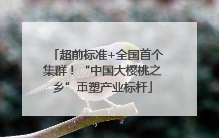 超前标准+全国首个集群！“中国大樱桃之乡”重塑产业标杆
