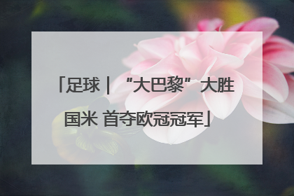 足球｜“大巴黎”大胜国米 首夺欧冠冠军
