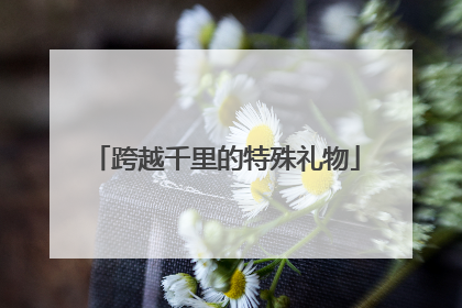 跨越千里的特殊礼物