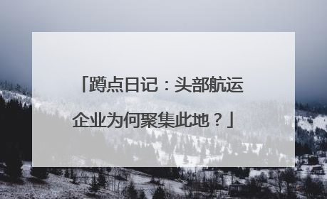 蹲点日记：头部航运企业为何聚集此地？