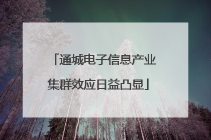 通城电子信息产业集群效应日益凸显