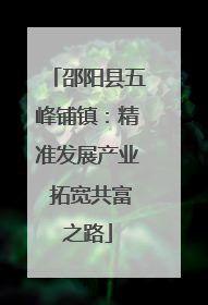 邵阳县五峰铺镇：精准发展产业 拓宽共富之路