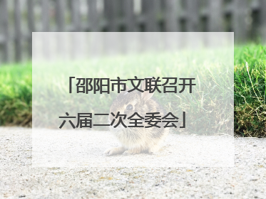 邵阳市文联召开六届二次全委会