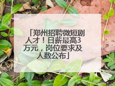 郑州招聘微短剧人才！日薪最高3万元，岗位要求及人数公布