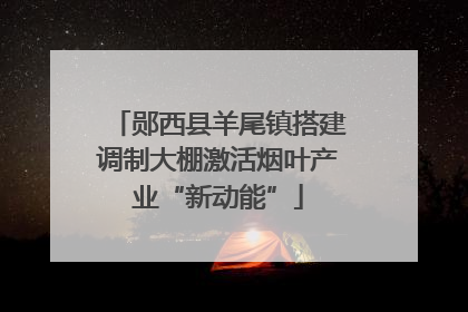 郧西县羊尾镇搭建调制大棚激活烟叶产业“新动能”